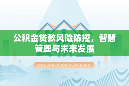 代县公积金贷款风险防控，智慧管理与未来发展
