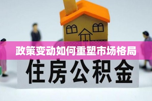 代县政策变动如何重塑市场格局