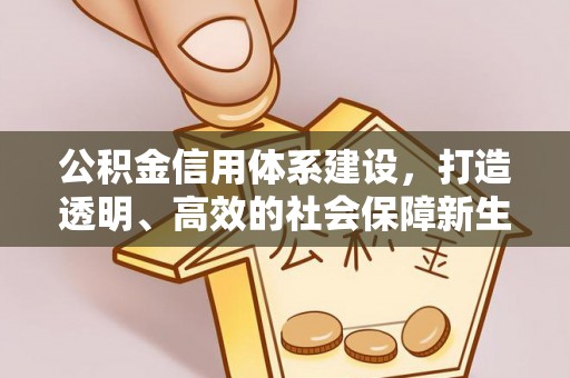 代县公积金信用体系建设，打造透明、高效的社会保障新生态