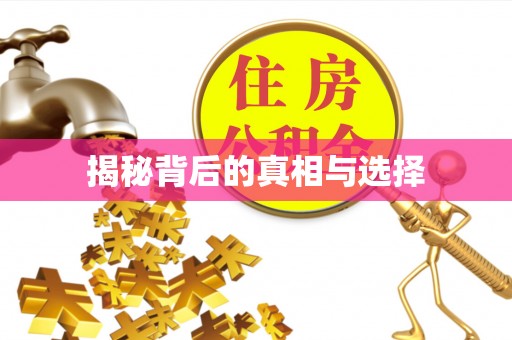 代县揭秘背后的真相与选择