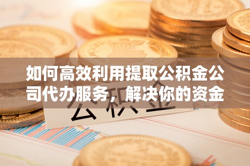 代县如何高效利用提取公积金公司代办服务，解决你的资金难题