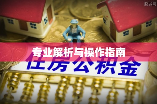 代县专业解析与操作指南