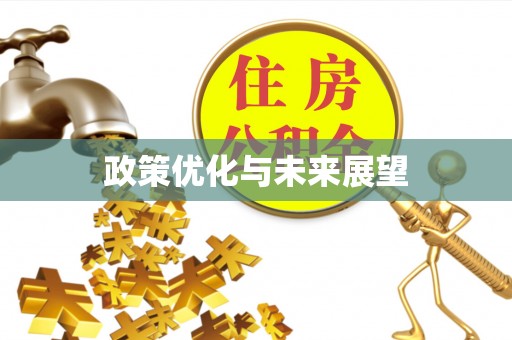 代县政策优化与未来展望