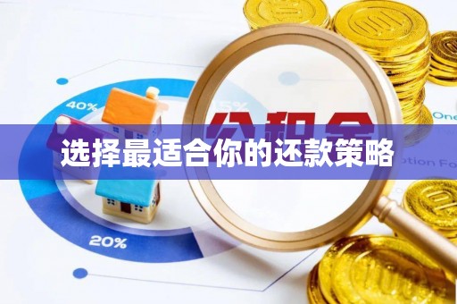 代县选择最适合你的还款策略