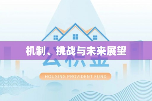 代县机制、挑战与未来展望